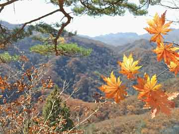 历史上的12月09日M364深圳实时事件回顾与洞察