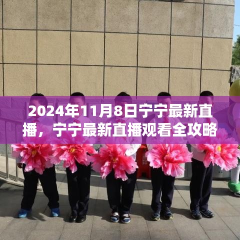 宁宁直播指南，2024年11月8日直播观看全攻略与入门指南