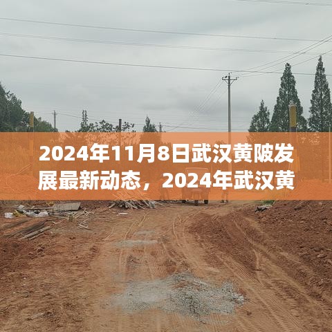 2024年武汉黄陂发展最新动态探索，融入区域发展大潮的步伐