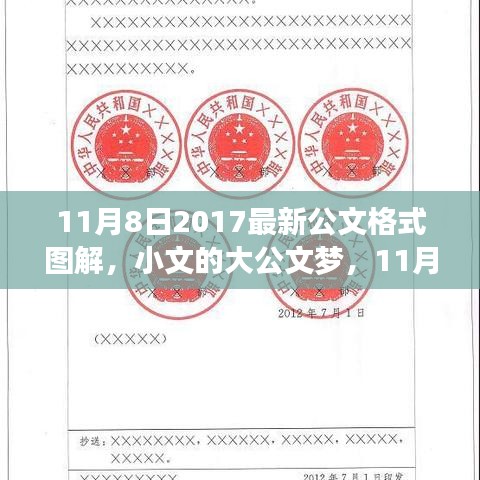 11月8日最新公文格式图解，小文的大公文梦与图解之旅