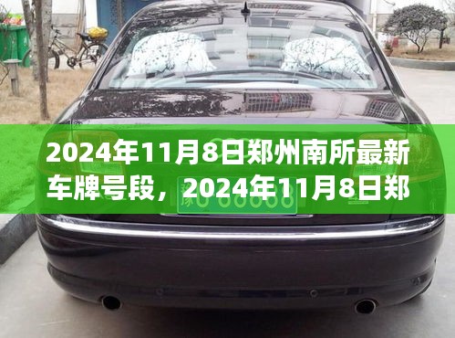 2024年郑州南所最新车牌号段解读与案例分析