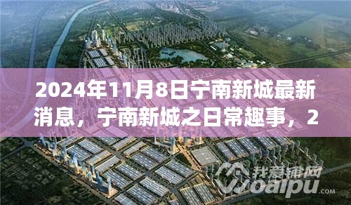 宁南新城日常趣事与阳光温情，2024年11月8日最新消息