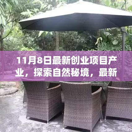 最新创业项目引领心灵之旅，探索自然秘境的奇妙旅程启动！