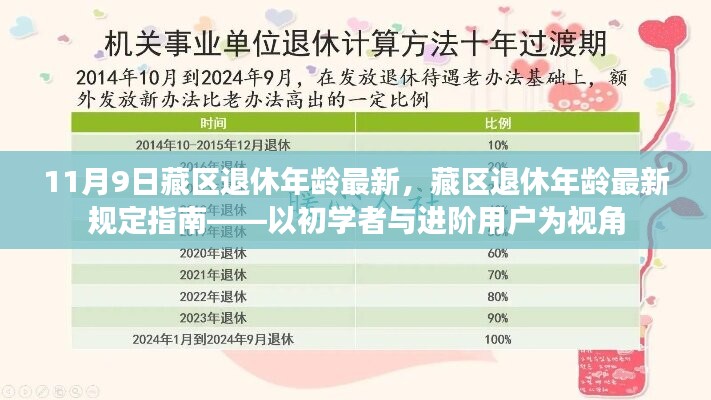 藏区退休年龄最新规定指南，从初学者到进阶用户的视角解析（11月9日更新）