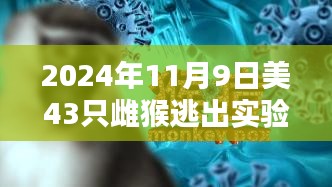 在线留言 第136页