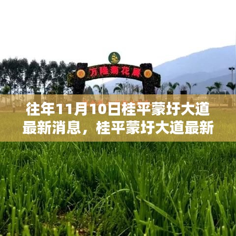 桂平蒙圩大道最新动态获取全攻略，轻松掌握最新消息动态