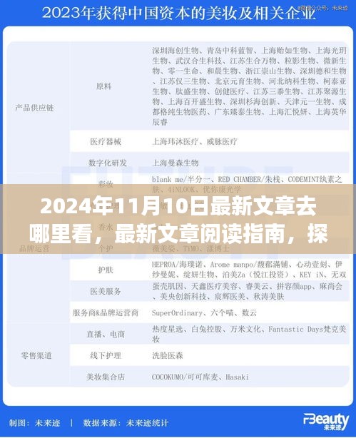 探寻最新文章阅读指南，揭秘2024年11月10日的精彩内容