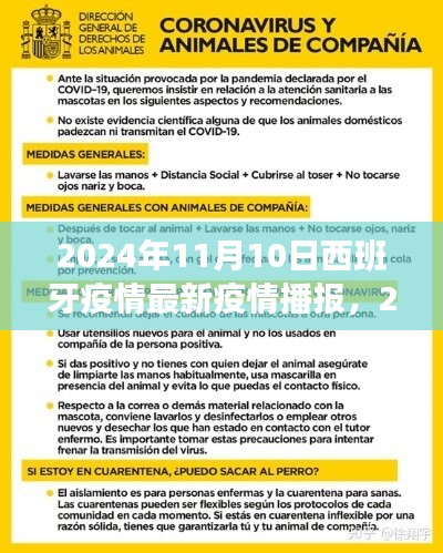 西班牙疫情最新播报解读指南，2024年11月10日最新播报与解读