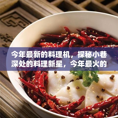 探秘小巷深处的料理新星，今年最火隐藏式料理机小店介绍