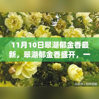 新闻中心 第133页