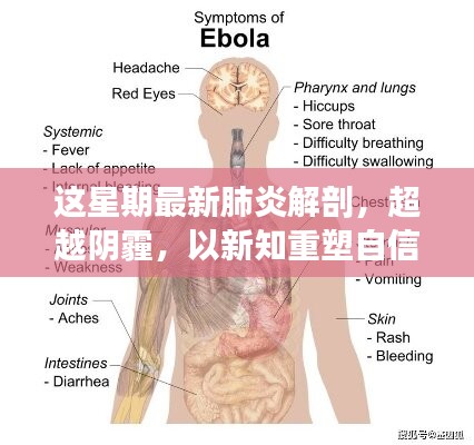 超越阴霾，最新肺炎解剖启示录，重塑信心与新知的探索