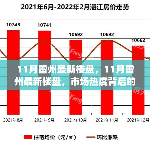 市场热度背后的深度解读与个人立场，11月雷州最新楼盘观察