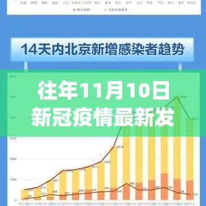 往年11月10日新冠疫情最新发展详解与动态了解指南