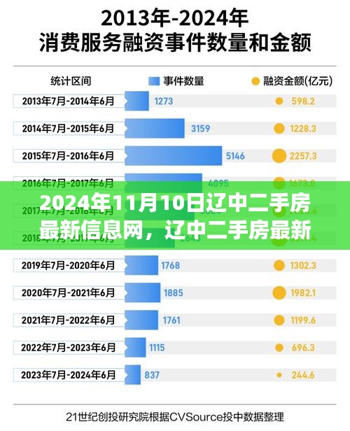 2024年11月10日辽中二手房市场最新动态，楼市变迁与影响深度解析