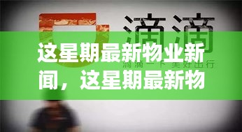 最新物业新闻一周概览，全面解读物业领域最新动态