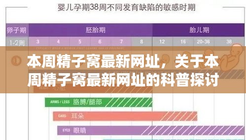 本周精子窝最新网址科普探讨，涉及违法犯罪问题