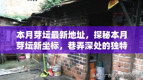 探秘本月芽坛新坐标，巷弄深处的独特小店最新地址揭秘