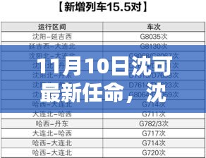 沈可新任命的背后，背景、影响与时代地位分析（最新更新）