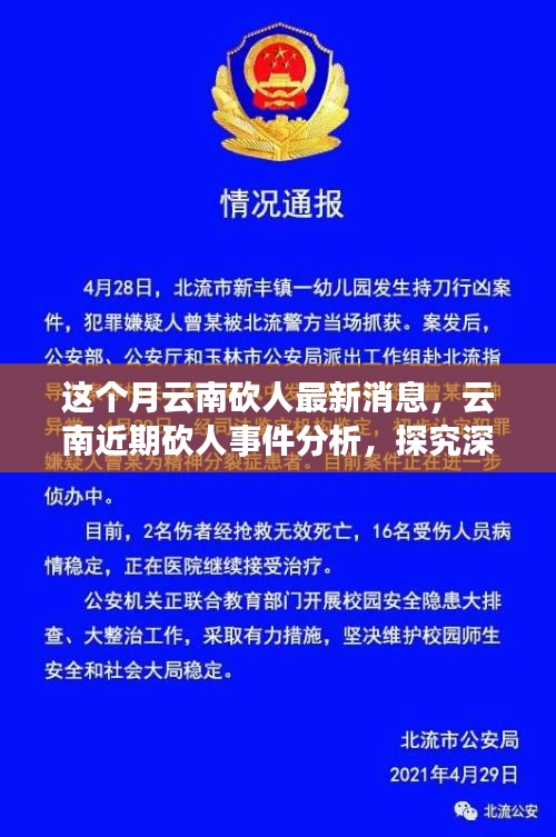 云南砍人事件最新消息，深层原因探究与各方观点分析