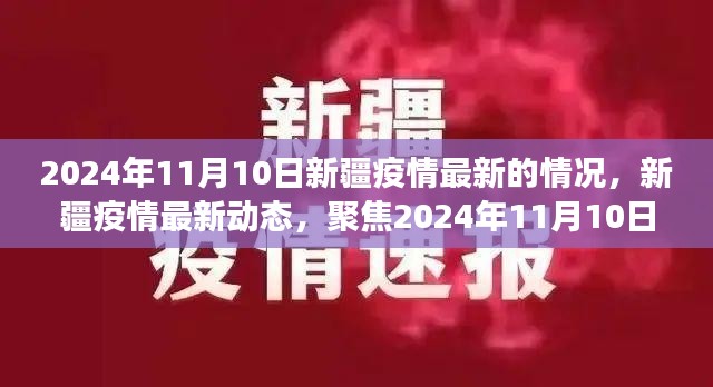 2024年11月10日新疆疫情最新进展与动态