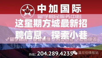 方城最新招聘信息揭秘，小巷秘境与独特小店之旅