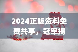 2024正版资料免费共享，冠军揭晓预告_E VH233.8预备版