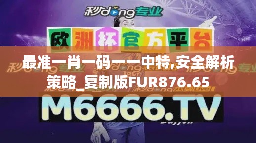 最准一肖一码一一中特,安全解析策略_复制版FUR876.65