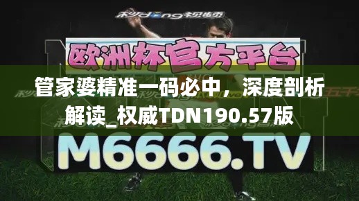 管家婆精准一码必中，深度剖析解读_权威TDN190.57版