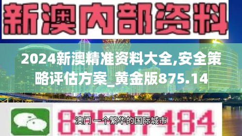 2024新澳精准资料大全,安全策略评估方案_黄金版875.14