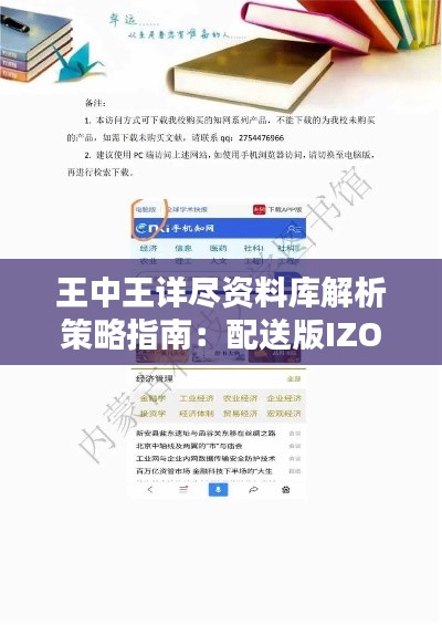 王中王详尽资料库解析策略指南：配送版IZO108.98