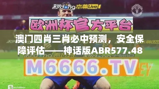 澳门四肖三肖必中预测，安全保障评估——神话版ABR577.48