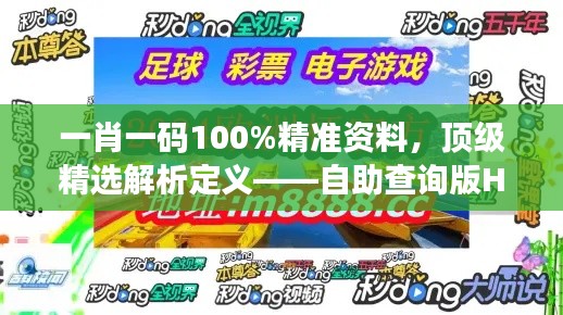 一肖一码100%精准资料，顶级精选解析定义——自助查询版HOU688.73