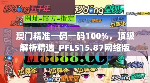 澳门精准一码一码100%，顶级解析精选_PFL515.87网络版