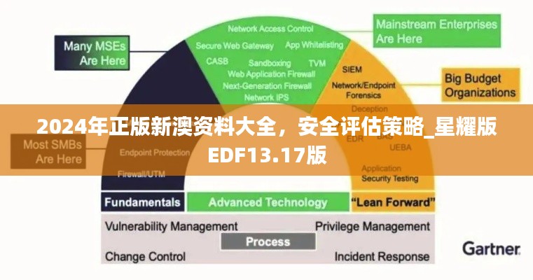 2024年正版新澳资料大全，安全评估策略_星耀版EDF13.17版