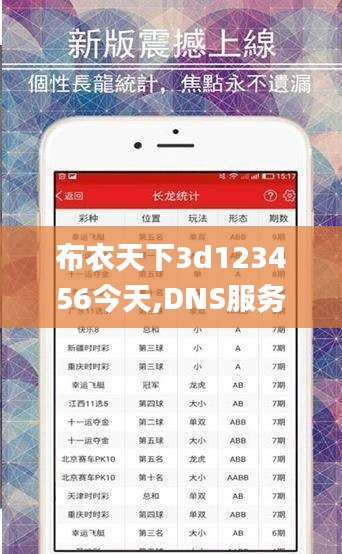 布衣天下3d123456今天,DNS服务_筑基WKE202.52