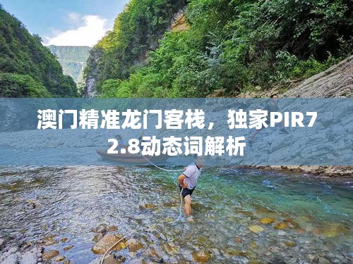 澳门精准龙门客栈，独家PIR72.8动态词解析