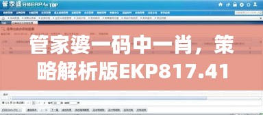 管家婆一码中一肖，策略解析版EKP817.41测试版