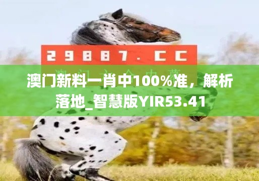 澳门新料一肖中100%准，解析落地_智慧版YIR53.41