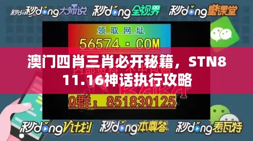 澳门四肖三肖必开秘籍，STN811.16神话执行攻略