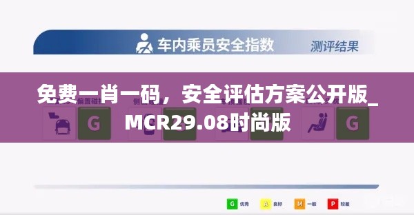 免费一肖一码，安全评估方案公开版_MCR29.08时尚版