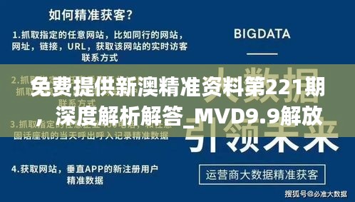 免费提供新澳精准资料第221期，深度解析解答_MVD9.9解放版