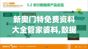 新奥门特免费资料大全管家婆料,数据资料解释落实_梦幻版OJX730.28