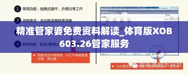 精准管家婆免费资料解读_体育版XOB603.26管家服务