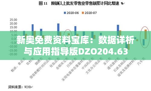 新奥免费资料宝库：数据详析与应用指导版DZO204.63