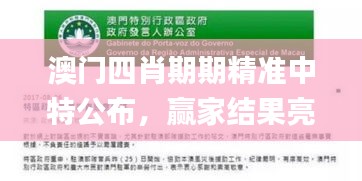 澳门四肖期期精准中特公布，赢家结果亮相_新手教程FAG989.56