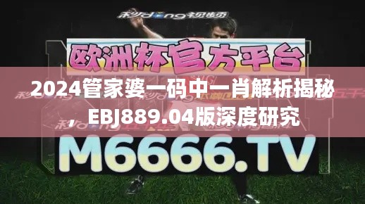 2024管家婆一码中一肖解析揭秘，EBJ889.04版深度研究