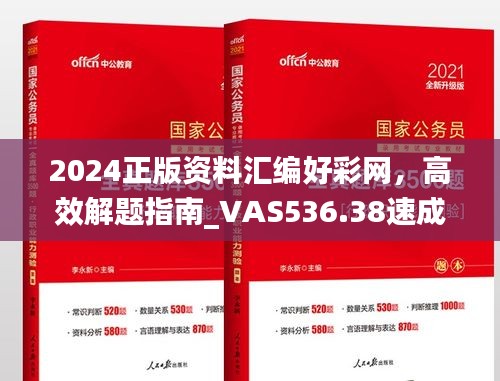 2024正版资料汇编好彩网，高效解题指南_VAS536.38速成版