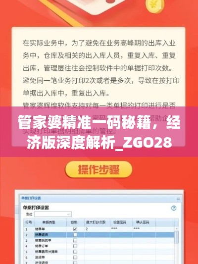 管家婆精准一码秘籍，经济版深度解析_ZGO289.56