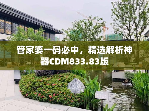 管家婆一码必中，精选解析神器CDM833.83版