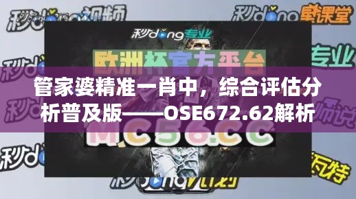 管家婆精准一肖中，综合评估分析普及版——OSE672.62解析